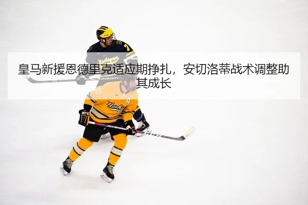 huang-ma-xin-yuan-en-de-li-ke-shi-ying-qi-zheng-zha-an-qie-luo-di-zhan-shu-tiao-zheng-zhu-qi-cheng-zhang-2-177.jpg